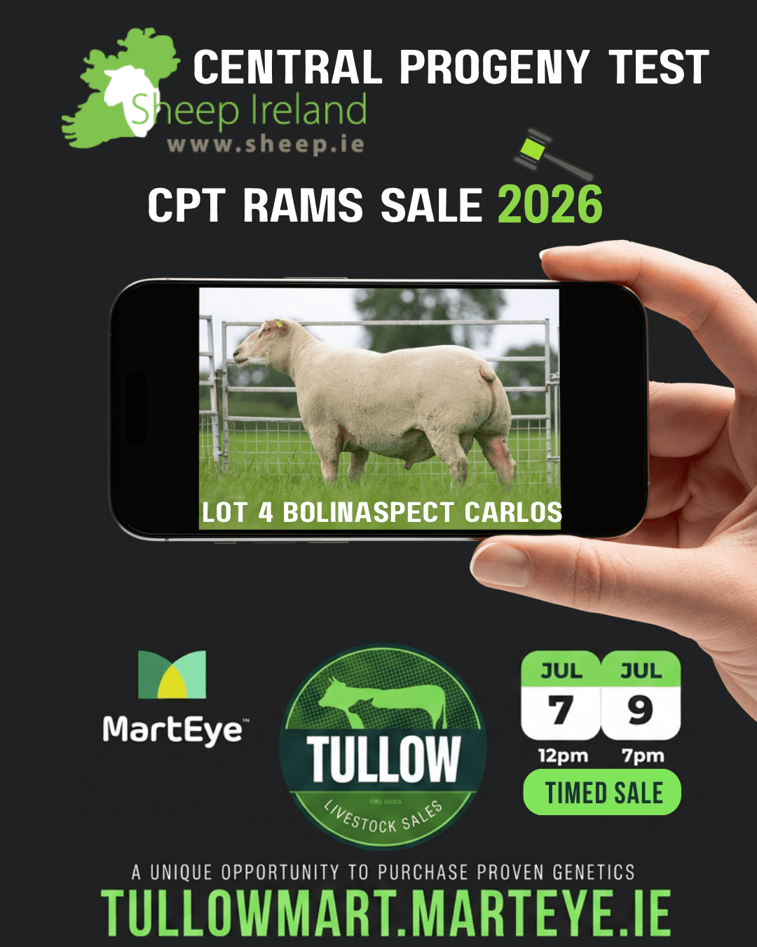 You are currently viewing Lot 4 BOLINASPECT CARLOS
