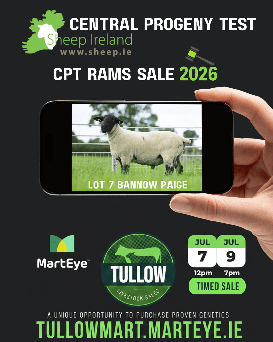 You are currently viewing Lot 7 Bannow Paige