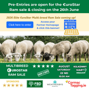 Read more about the article Breeders: Pre-Entries for the Elite €uroStar Multi-Breed Ram sale are now open!