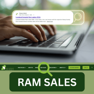 Find every Ram sale of the season in one simple search!
