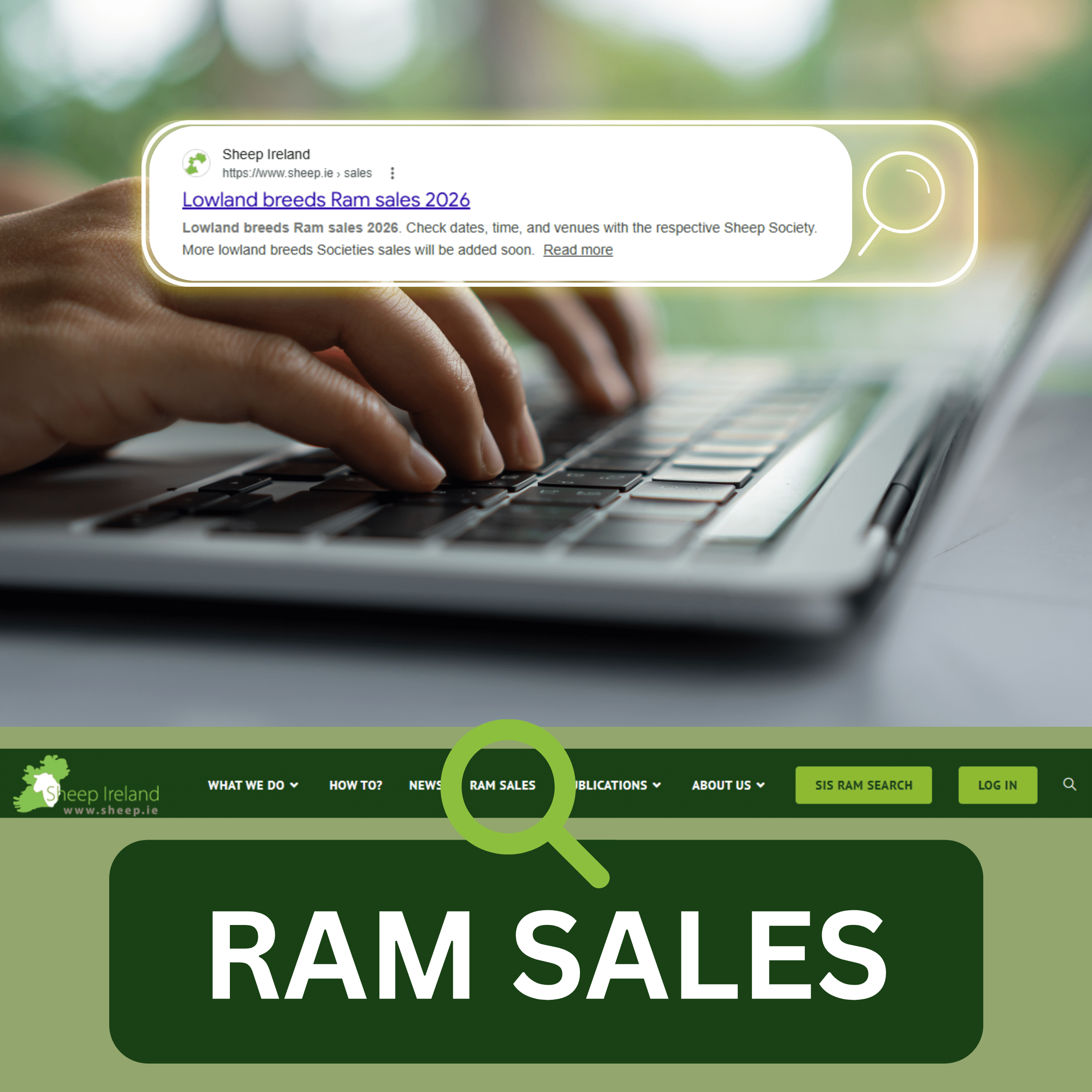 You are currently viewing Find every Ram sale of the season in one simple search!