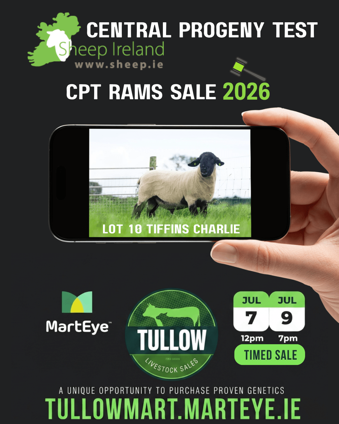 You are currently viewing Lot 10 TIFFINS CHARLIE