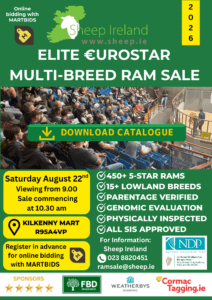 Read more about the article This Saturday: Sheep Ireland €uroStar Multi-Breed Ram sale 2026! View the Catalogue here