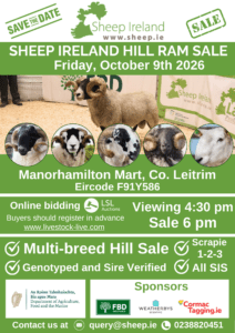 Read more about the article 3rd annual Hill Multi-Breed Ram Sale