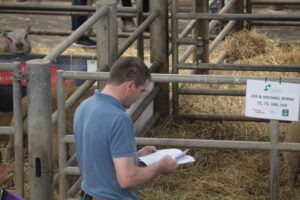 Read more about the article Finding the right ram for your flock using Eurostars