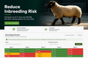 Use the Inbreeding Checker when mating