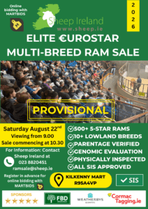 Read more about the article Provisional catalogue for the 2026 Elite €uro-Star Multi-Breed Ram Sale