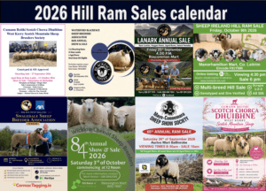 Read more about the article 2026 Hill Ram Sales calendar