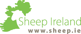 Sheep Ireland